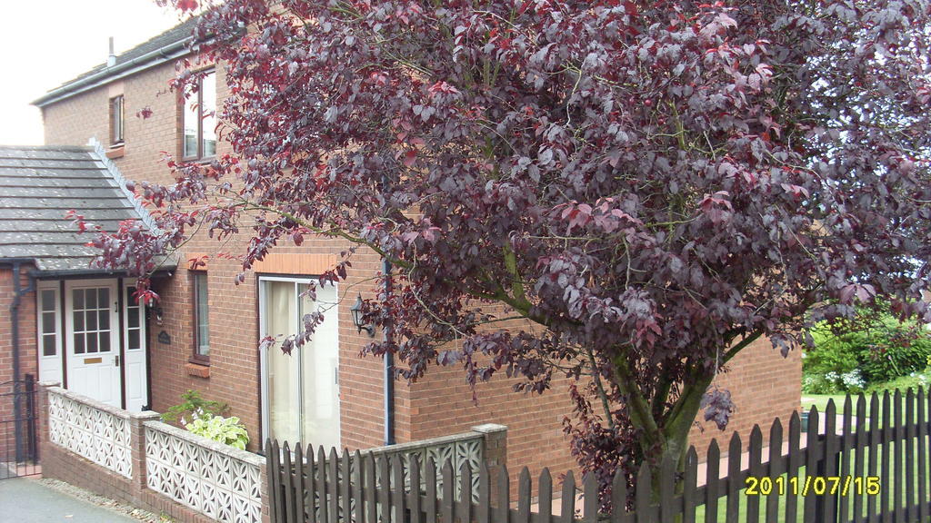 Bed and Breakfast Briardale Lazonby Экстерьер фото